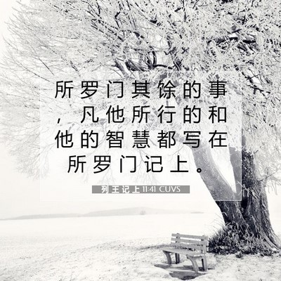Picture 07 - 列 王 记 上 11:41 CUVS - 所 罗 门 其 馀 的 事 ， 凡 他 所 行 - Bible Verse Picture