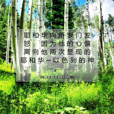 Picture 07 - 列 王 记 上 11:9 CUVS - 耶 和 华 向 所 罗 门 发 怒 ， 因 为 - Bible Verse Picture