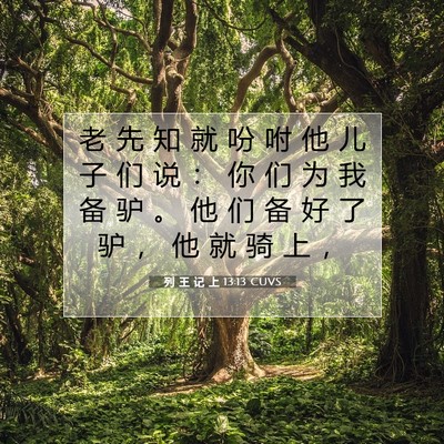 Picture 07 - 列 王 记 上 13:13 CUVS - 老 先 知 就 吩 咐 他 儿 子 们 说 ： - Bible Verse Picture