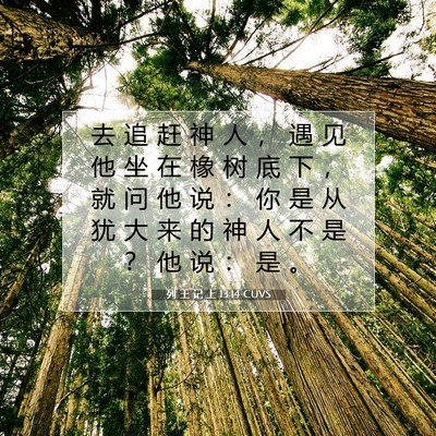 Picture 07 - 列 王 记 上 13:14 CUVS - 去 追 赶 神 人 ， 遇 见 他 坐 在 橡 - Bible Verse Picture
