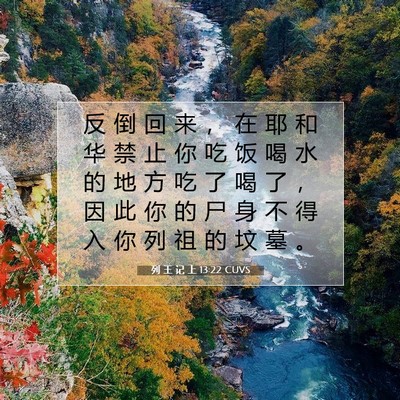 Picture 07 - 列 王 记 上 13:22 CUVS - 反 倒 回 来 ， 在 耶 和 华 禁 止 你 - Bible Verse Picture
