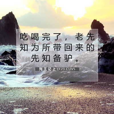 Picture 07 - 列 王 记 上 13:23 CUVS - 吃 喝 完 了 ， 老 先 知 为 所 带 回 - Bible Verse Picture
