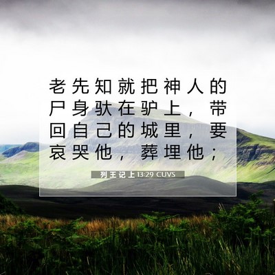 Picture 07 - 列 王 记 上 13:29 CUVS - 老 先 知 就 把 神 人 的 尸 身 驮 在 - Bible Verse Picture