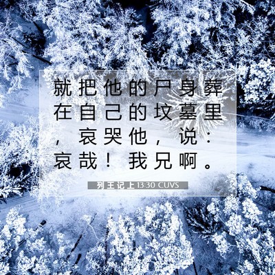 Picture 07 - 列 王 记 上 13:30 CUVS - 就 把 他 的 尸 身 葬 在 自 己 的 坟 - Bible Verse Picture