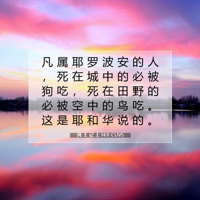 Picture 07 - 列 王 记 上 14:11 CUVS - 凡 属 耶 罗 波 安 的 人 ， 死 在 城 - Bible Verse Picture