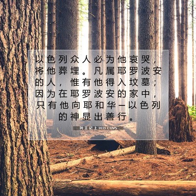 Picture 07 - 列 王 记 上 14:13 CUVS - 以 色 列 众 人 必 为 他 哀 哭 ， 将 - Bible Verse Picture