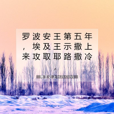 Picture 07 - 列 王 记 上 14:25 CUVS - 罗 波 安 王 第 五 年 ， 埃 及 王 示 - Bible Verse Picture