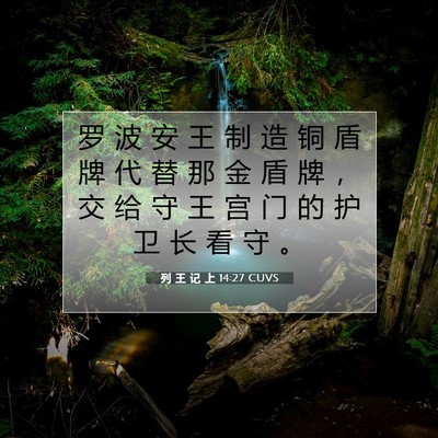 Picture 07 - 列 王 记 上 14:27 CUVS - 罗 波 安 王 制 造 铜 盾 牌 代 替 那 - Bible Verse Picture