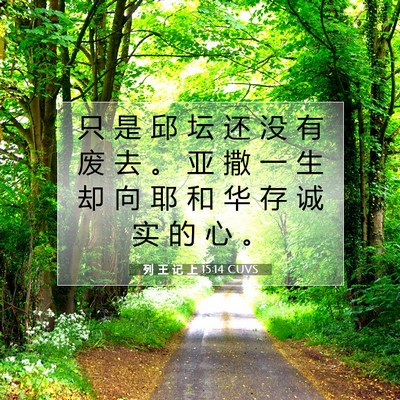 Picture 07 - 列 王 记 上 15:14 CUVS - 只 是 邱 坛 还 没 有 废 去 。 亚 撒 - Bible Verse Picture