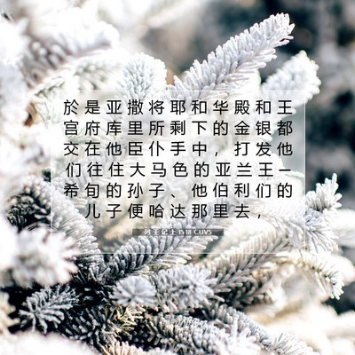Picture 07 - 列 王 记 上 15:18 CUVS - 於 是 亚 撒 将 耶 和 华 殿 和 王 宫 - Bible Verse Picture