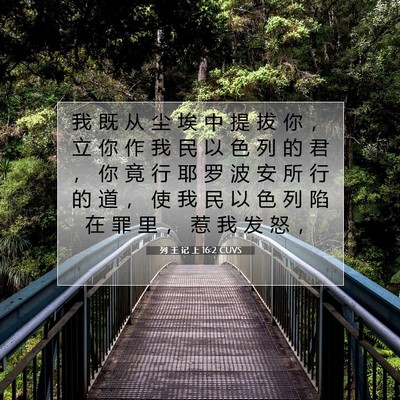 Picture 07 - 列 王 记 上 16:2 CUVS - 我 既 从 尘 埃 中 提 拔 你 ， 立 你 - Bible Verse Picture