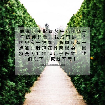 Picture 07 - 列 王 记 上 17:12 CUVS - 他 说 ： 我 指 着 永 生 耶 和 华 ─ - Bible Verse Picture