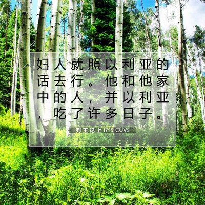 Picture 07 - 列 王 记 上 17:15 CUVS - 妇 人 就 照 以 利 亚 的 话 去 行 。 - Bible Verse Picture