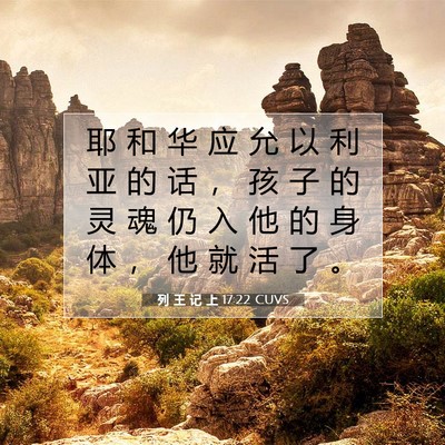 Picture 07 - 列 王 记 上 17:22 CUVS - 耶 和 华 应 允 以 利 亚 的 话 ， 孩 - Bible Verse Picture