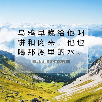 Picture 07 - 列 王 记 上 17:6 CUVS - 乌 鸦 早 晚 给 他 叼 饼 和 肉 来 ， - Bible Verse Picture