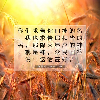 Picture 07 - 列 王 记 上 18:24 CUVS - 你 们 求 告 你 们 神 的 名 ， 我 也 - Bible Verse Picture