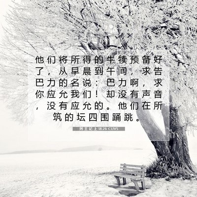 Picture 07 - 列 王 记 上 18:26 CUVS - 他 们 将 所 得 的 牛 犊 预 备 好 了 - Bible Verse Picture