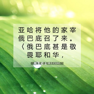 Picture 07 - 列 王 记 上 18:3 CUVS - 亚 哈 将 他 的 家 宰 俄 巴 底 召 了 - Bible Verse Picture