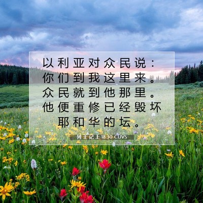Picture 07 - 列 王 记 上 18:30 CUVS - 以 利 亚 对 众 民 说 ： 你 们 到 我 - Bible Verse Picture