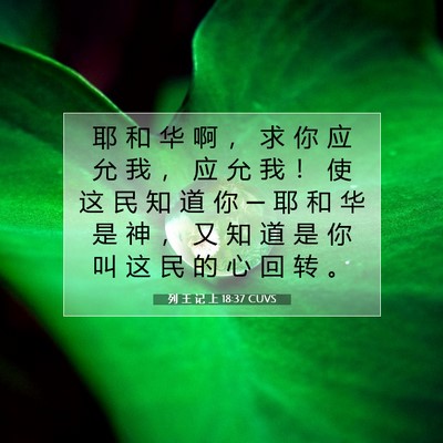 Picture 07 - 列 王 记 上 18:37 CUVS - 耶 和 华 啊 ， 求 你 应 允 我 ， 应 - Bible Verse Picture