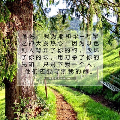 Picture 07 - 列 王 记 上 19:14 CUVS - 他 说 ： 我 为 耶 和 华 ─ 万 军 之 - Bible Verse Picture