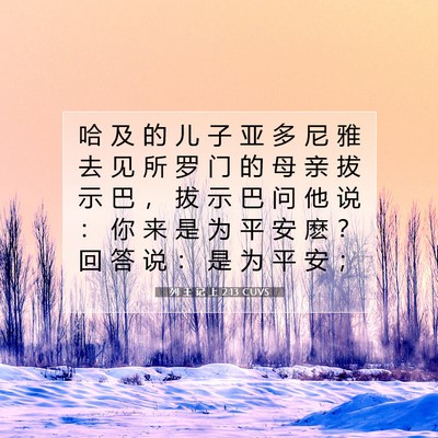 Picture 07 - 列 王 记 上 2:13 CUVS - 哈 及 的 儿 子 亚 多 尼 雅 去 见 所 - Bible Verse Picture