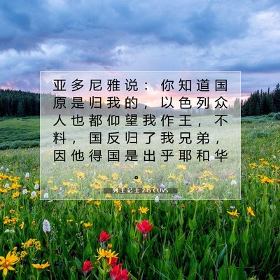 Picture 07 - 列 王 记 上 2:15 CUVS - 亚 多 尼 雅 说 ： 你 知 道 国 原 是 - Bible Verse Picture