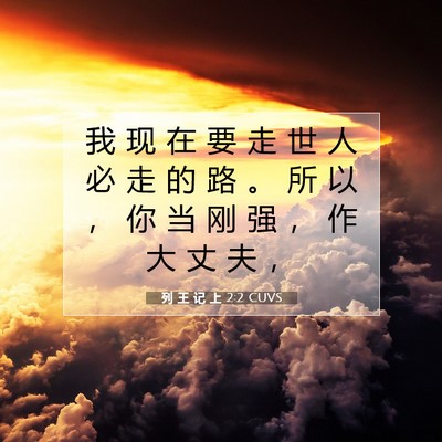 Picture 07 - 列 王 记 上 2:2 CUVS - 我 现 在 要 走 世 人 必 走 的 路 。 - Bible Verse Picture
