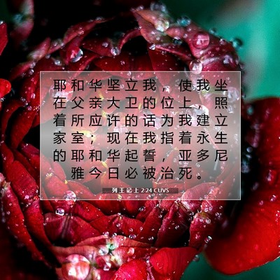Picture 07 - 列 王 记 上 2:24 CUVS - 耶 和 华 坚 立 我 ， 使 我 坐 在 父 - Bible Verse Picture