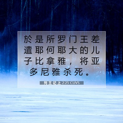 Picture 07 - 列 王 记 上 2:25 CUVS - 於 是 所 罗 门 王 差 遣 耶 何 耶 大 - Bible Verse Picture