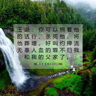 Picture 07 - 列 王 记 上 2:31 CUVS - 王 说 ： 你 可 以 照 着 他 的 话 行 - Bible Verse Picture