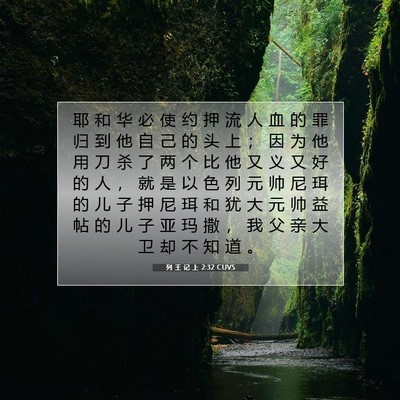 Picture 07 - 列 王 记 上 2:32 CUVS - 耶 和 华 必 使 约 押 流 人 血 的 罪 - Bible Verse Picture
