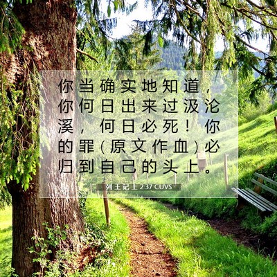 Picture 07 - 列 王 记 上 2:37 CUVS - 你 当 确 实 地 知 道 ， 你 何 日 出 - Bible Verse Picture