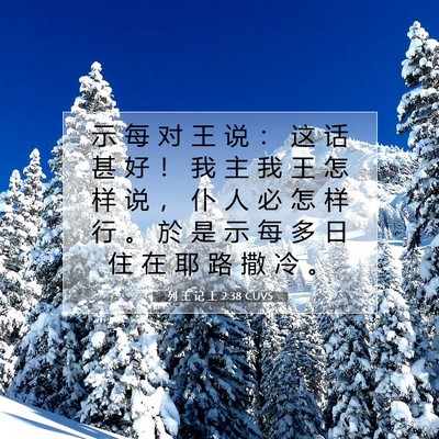 Picture 07 - 列 王 记 上 2:38 CUVS - 示 每 对 王 说 ： 这 话 甚 好 ！ 我 - Bible Verse Picture