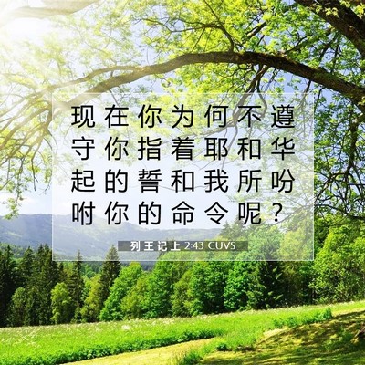 Picture 07 - 列 王 记 上 2:43 CUVS - 现 在 你 为 何 不 遵 守 你 指 着 耶 - Bible Verse Picture