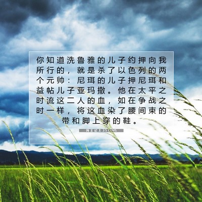 Picture 07 - 列 王 记 上 2:5 CUVS - 你 知 道 洗 鲁 雅 的 儿 子 约 押 向 - Bible Verse Picture