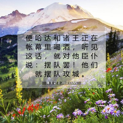 Picture 07 - 列 王 记 上 20:12 CUVS - 便 哈 达 和 诸 王 正 在 帐 幕 里 喝 - Bible Verse Picture