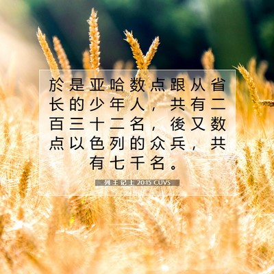 Picture 07 - 列 王 记 上 20:15 CUVS - 於 是 亚 哈 数 点 跟 从 省 长 的 少 - Bible Verse Picture