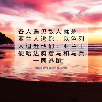 Picture 07 - 列 王 记 上 20:20 CUVS - 各 人 遇 见 敌 人 就 杀 。 亚 兰 人 - Bible Verse Picture