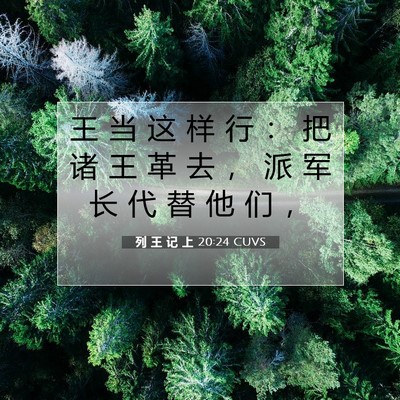 Picture 07 - 列 王 记 上 20:24 CUVS - 王 当 这 样 行 ： 把 诸 王 革 去 ， - Bible Verse Picture