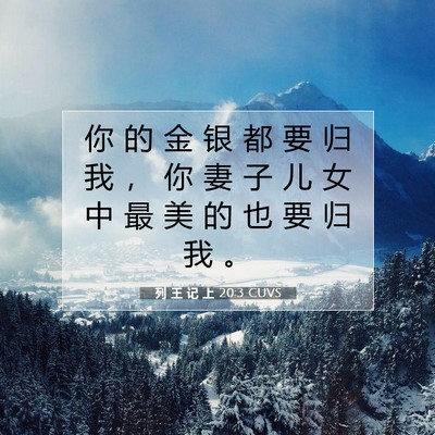Picture 07 - 列 王 记 上 20:3 CUVS - 你 的 金 银 都 要 归 我 ， 你 妻 子 - Bible Verse Picture