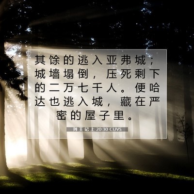 Picture 07 - 列 王 记 上 20:30 CUVS - 其 馀 的 逃 入 亚 弗 城 ； 城 墙 塌 - Bible Verse Picture