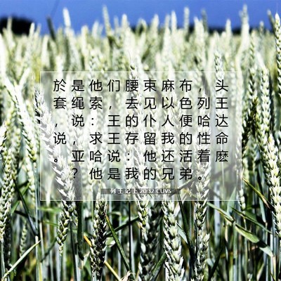 Picture 07 - 列 王 记 上 20:32 CUVS - 於 是 他 们 腰 束 麻 布 ， 头 套 绳 - Bible Verse Picture