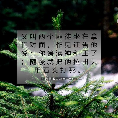 Picture 07 - 列 王 记 上 21:10 CUVS - 又 叫 两 个 匪 徒 坐 在 拿 伯 对 面 - Bible Verse Picture