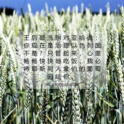 Picture 07 - 列 王 记 上 21:7 CUVS - 王 后 耶 洗 别 对 亚 哈 说 ： 你 现 - Bible Verse Picture