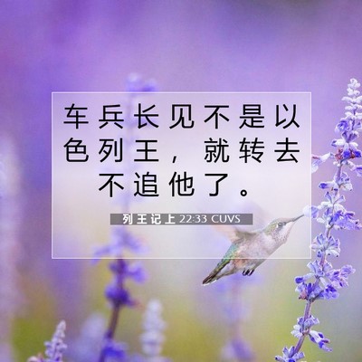 Picture 07 - 列 王 记 上 22:33 CUVS - 车 兵 长 见 不 是 以 色 列 王 ， 就 - Bible Verse Picture