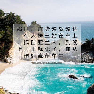 Picture 07 - 列 王 记 上 22:35 CUVS - 那 日 ， 阵 势 越 战 越 猛 ， 有 人 - Bible Verse Picture