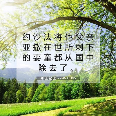Picture 07 - 列 王 记 上 22:46 CUVS - 约 沙 法 将 他 父 亲 亚 撒 在 世 所 - Bible Verse Picture