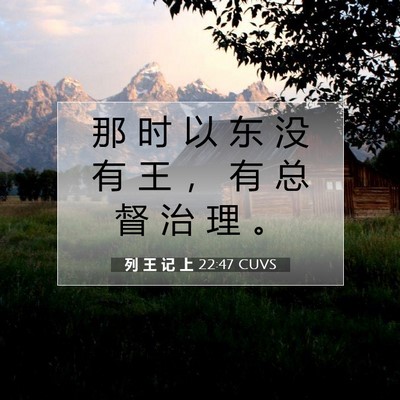 Picture 07 - 列 王 记 上 22:47 CUVS - 那 时 以 东 没 有 王 ， 有 总 督 治 - Bible Verse Picture