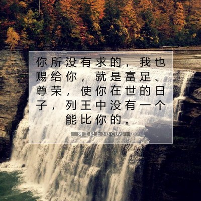 Picture 07 - 列 王 记 上 3:13 CUVS - 你 所 没 有 求 的 ， 我 也 赐 给 你 - Bible Verse Picture